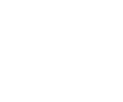 Scalable Features for Growth